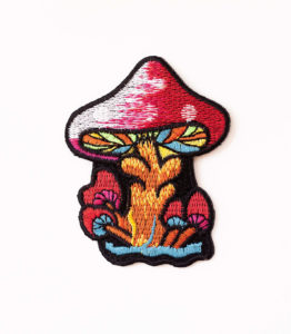 Magic Red Mushroom Patch