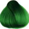 Maggie Dark Green - Hair Dye - Image 3