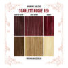 Scarlett Rogue Red - Hair Dye - Image 2
