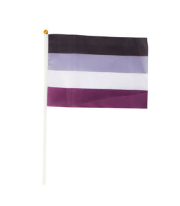 Asexual Pride Hand Flag – Small
