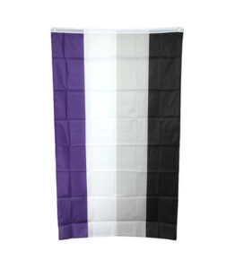 Large Asexual Flag