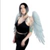 Angel Wings-White