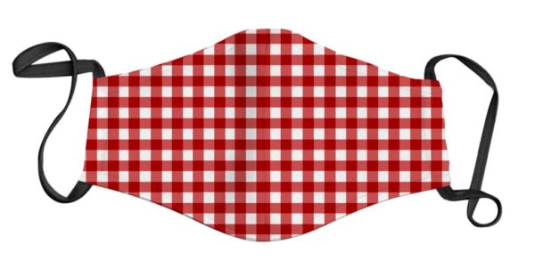 Red and White Gingham Face Mask