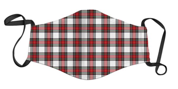 Red and White Plaid Face Mask