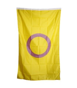 Intersex Large Pride Flag
