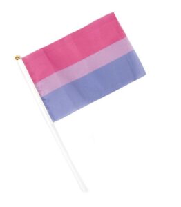 Bisexual Pride Hand Flag – Small