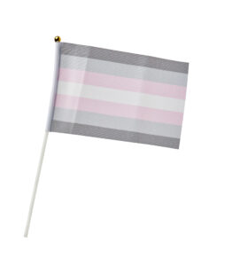 Demigirl Pride Hand Flag - Small