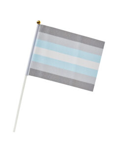 Demiboy Pride Hand Flag - Small