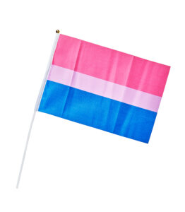 Bisexual Hand Flag - Medium