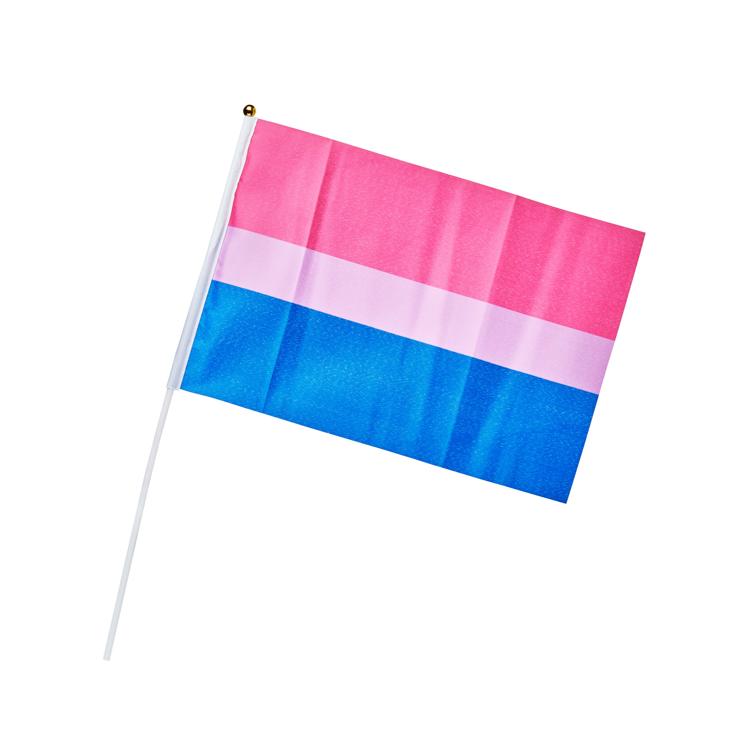 Bisexual Hand Flag Medium Cybershop Australia