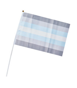 Demiboy Pride Hand Flag - Medium