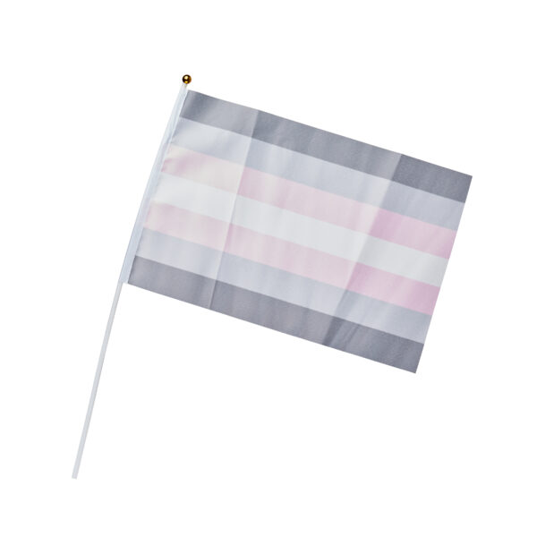 Demigirl Pride Hand Flag - Medium