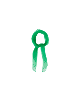 Green Chiffon Scarf