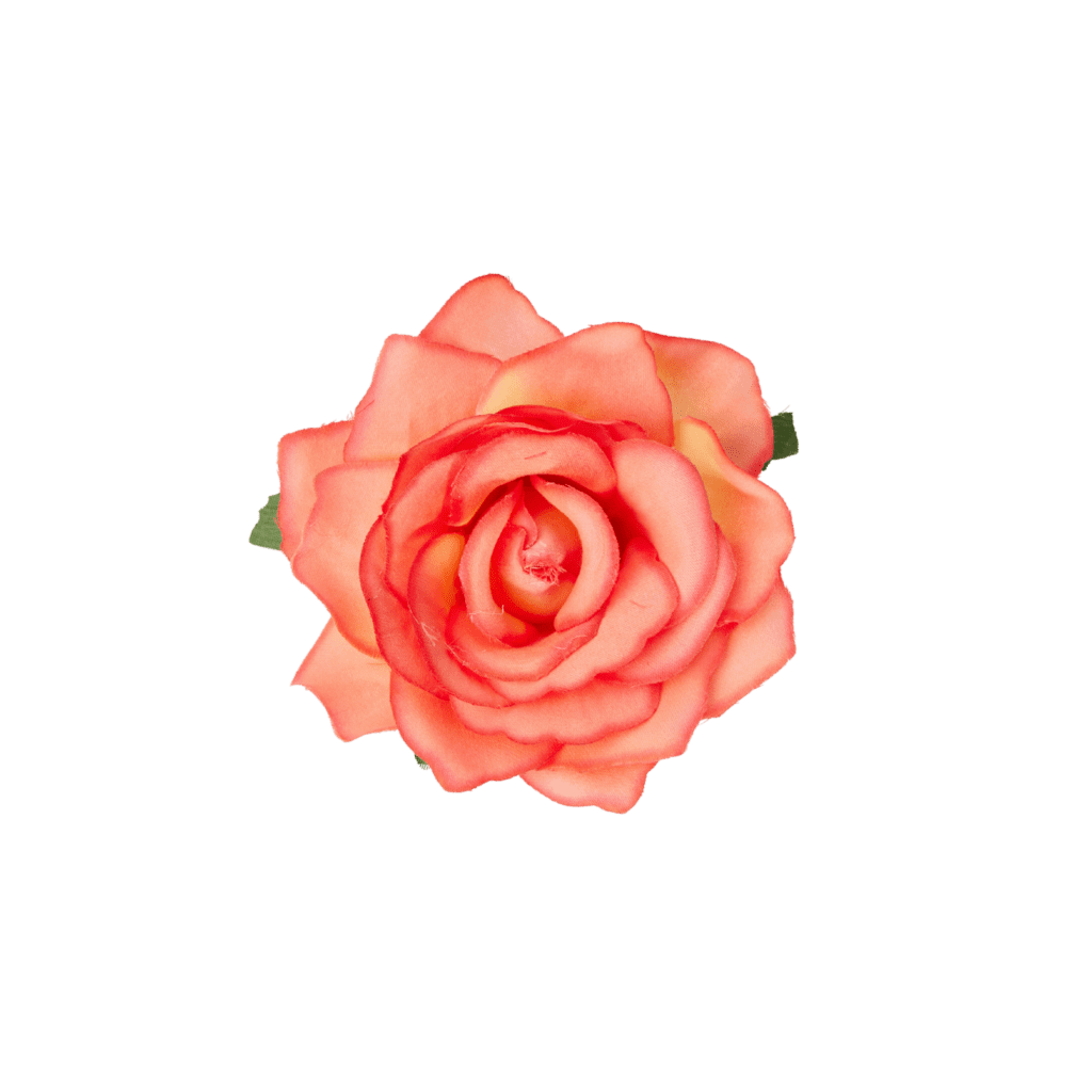 Peach & Orange Flower - Cybershop Australia