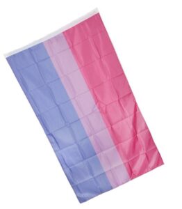 Large Bisexual Flag