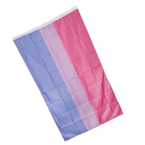 Large Bisexual Flag